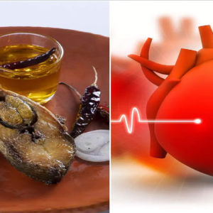 রুই মাছ কি কেবলই স্বাদ? না কি হার্ট অ্যাটাক ও স্ট্রোক ঠেকানোর মহৌষধ! জানুন পুষ্টিবিদদের চাঞ্চল্যকর তথ্য।