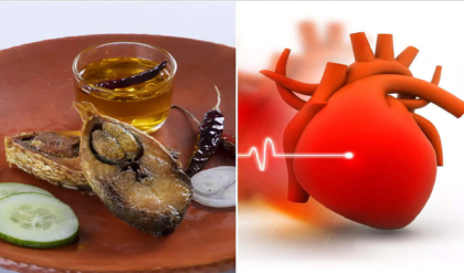 রুই মাছ কি কেবলই স্বাদ? না কি হার্ট অ্যাটাক ও স্ট্রোক ঠেকানোর মহৌষধ! জানুন পুষ্টিবিদদের চাঞ্চল্যকর তথ্য।