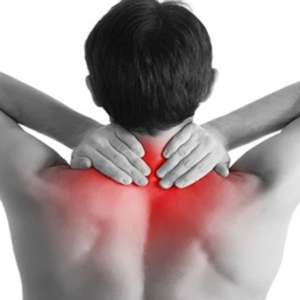 দীর্ঘক্ষণ কম্পিউটার বা মোবাইলে কাজ? ঘাড়-পিঠের ব্যথা কমাতে ওষুধের বদলে কাজে লাগান ‘শ্বাসের ব্যায়াম’