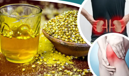 সস্তার ধনে বীজে বাজিমাত! রোগমুক্ত শরীর ও ঝরঝরে মেদ পেতে আজই শুরু করুন এই ঘরোয়া পানীয়