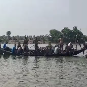 ভাগীরথীতে মৃত ডলফিন ঘিরে রহস্য! দিনভর তল্লাশিতেও দেহ উদ্ধার করতে পারল না বন দফতর