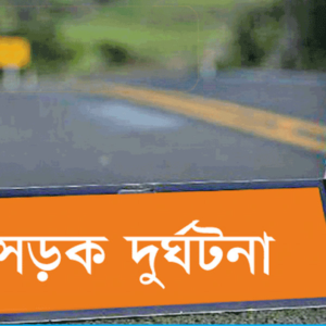 ৭ হাজার ‘ডেথ জোন’ চিহ্নিত! সড়ক দুর্ঘটনা রুখতে নীতিন গড়করির যুগান্তকারী ঘোষণা