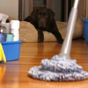 ঘর পরিষ্কারের ৭টি সাধারণ ভুল যা জীবাণু ছড়িয়ে দেয়, সঠিক উপায়ে বাড়ি ঝকঝকে করবেন কীভাবে?