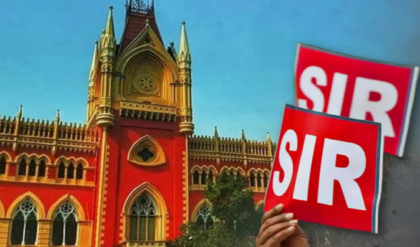 এসআইআর সমীক্ষায় বড় মোড়! বাতিল হওয়া ওবিসি নথি কি ভোটার তালিকায় কাজে আসবে? উত্তরের অপেক্ষায় বাংলা