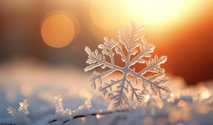 কুয়াশার চাদরে ঢাকা দক্ষিণ ২৪ পরগনা! দৃশ্যমানতা ৫০ মিটারে, বড়দিনের সকালে ব্যাহত বকখালির পিকনিক