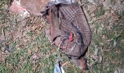 খেলতে গিয়েই খেল খতম! পরিত্যক্ত ঘরে ভয়াবহ বিস্ফোরণ, রক্তাক্ত হয়ে হাসপাতালে বছর ৯-এর শিশু