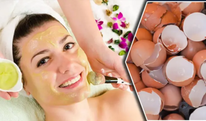 ডিমের খোসায় সৌন্দর্যের গোপন রহস্য জানতে চান? পড়ুন তথ্যটি