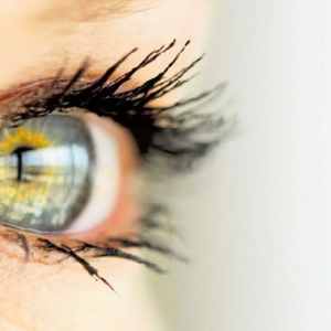 দৃষ্টিশক্তি-স্মৃতিশক্তি ভালো রাখতে অবশ্যই খান এই ফল, রইল লিস্ট