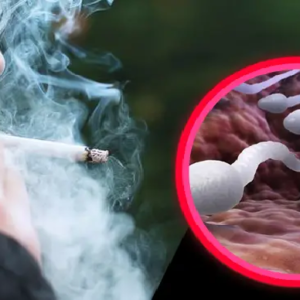 ধূমপান কি সত্যিই পুরুষের বন্ধ্যাত্বের কারণ? এড়িয়ে না গিয়ে সতর্ক হন