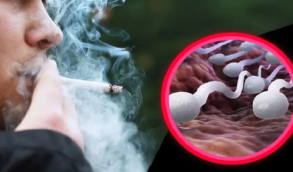 ধূমপান কি সত্যিই পুরুষের বন্ধ্যাত্বের কারণ? এড়িয়ে না গিয়ে সতর্ক হন