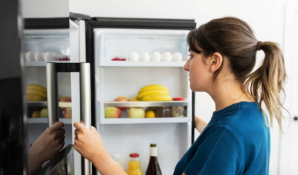 ফ্রিজ চালান নিশ্চিন্তে! বিদ্যুৎ বিল কমাতে রইল দারুণ ৫ টিপস