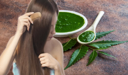 চুলের যত্নে ম্যাজিক নিম! খুশকি তাড়াতে শিখেনিন ট্রিক