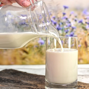 কাঁচা দুধ পানের ঝুঁকি কী কী? স্বাস্থ্য বিশেষজ্ঞরা যা বলছে? জানলে অবাক হবেন