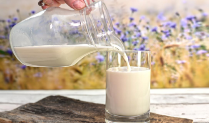 কাঁচা দুধ পানের ঝুঁকি কী কী? স্বাস্থ্য বিশেষজ্ঞরা যা বলছে? জানলে অবাক হবেন