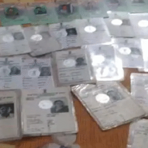 এসআইআর চলাকালীন ড্রেন থেকে উদ্ধার বিপুল সংখ্যক ভোটার কার্ড! নদিয়ার নবদ্বীপে চাঞ্চল্য, শুরু রাজনৈতিক চাপানউতর