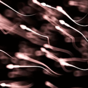 কতদিন প্রজননক্ষম থাকেন পুরুষেরা? উত্তর জানতে পড়ুন তথ্যটি