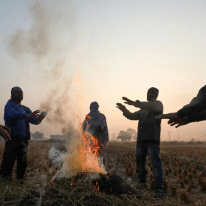 ঘূর্ণিঝড়ের প্রভাব মুক্ত দক্ষিণবঙ্গ, বুধবার থেকে পারদ পতনের শুরু; উইকেন্ডে জাঁকিয়ে শীত ‘সিটি অফ জয়’-এ