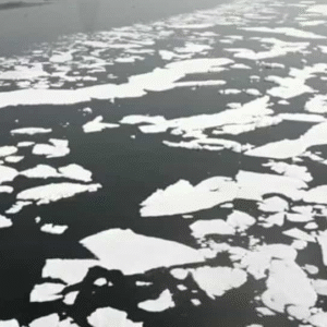 ৫,৫৩৬ কোটি টাকা খরচ করেও যমুনার দূষণ একই, দিল্লি সরকারগুলির ব্যর্থতা নিয়ে রিপোর্ট পেশ কেন্দ্রের