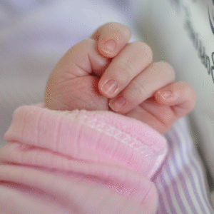 নির্দয়তার বিপরীতে মমতা! শৌচালয়ের পাশে ফেলে যাওয়া সদ্যোজাতকে সারারাত আগলে রাখল পথকুকুররা, চাঞ্চল্য নদিয়ায়