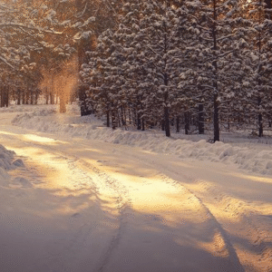 ডিসেম্বরের প্রথম সপ্তাহেই ফিরছে জাঁকিয়ে শীত: পারদ নামা শুরু বুধবার থেকে, কবে মিলবে সেই চেনা হিমেল আমেজ?