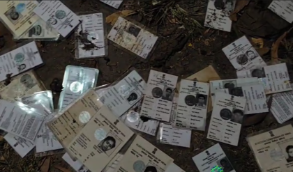 এসআইআর আবহে চাঞ্চল্য! নবদ্বীপের রাস্তায় ছড়িয়ে-ছিটিয়ে উদ্ধার হল কয়েকশো ভোটার আই-কার্ড