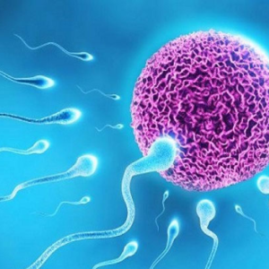 হরমোন কি? হরমোন জনিত কারণে কী রোগ হতে পারে জানলে অবাক হবেন