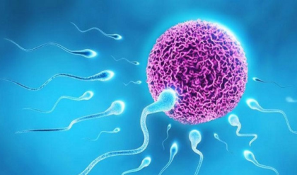 হরমোন কি? হরমোন জনিত কারণে কী রোগ হতে পারে জানলে অবাক হবেন