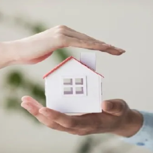 বাড়িকে নিরাপদ রাখার প্রাকৃতিক উপায় শিখেনিন চটজলদি