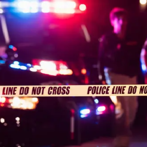 ৫ মাস ভাড়া দেয়নি, চাইতে যেতেই নৃশংস পরিণতি! মালকিনকে কেটে ব্যাগে ভরল ভাড়াটে দম্পতি