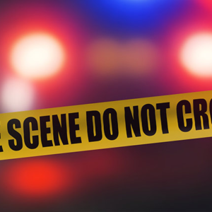 মাথায় রডের আঘাত, ঘটনাস্থলেই মৃত্যু! ফলতার গোপালপুরে হাড়হিম করা হত্যাকাণ্ড, নিহতের অতীত নিয়ে চাঞ্চল্যকর তথ্য