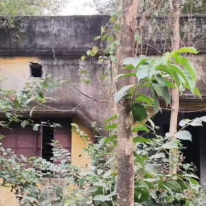 জঙ্গলের আড়ালে নিভে যাচ্ছে শিক্ষার আলো! পুরুলিয়ায় অবহেলায় মহাশ্বেতা দেবীর স্বপ্নের ‘শবর’ পাঠশালা