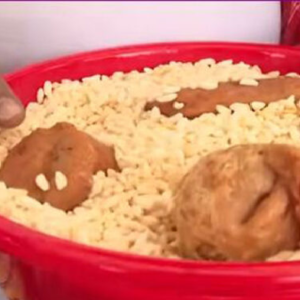 রাজপথে চপ-মুড়ি আর সিঙাড়া বিক্রি! নিয়োগের দাবিতে অভিনব ‘চপ শিল্প’ আন্দোলনে সামিল এসএসসি প্রার্থীরা