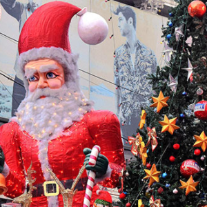 বড়দিনে পার্ক স্ট্রিটে ‘নো এন্ট্রি’! লালবাজারের কড়া গাইডলাইন না জানলে চরম বিপদে পড়বেন