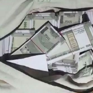 সুন্দরবনে হাড়হিম করা অভিজ্ঞতা! ৯০ হাজার টাকা ভর্তি ব্যাগ হারিয়ে দিশেহারা পর্যটক, তারপর যা ঘটল…?