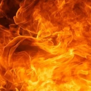 বড়দিনের আগে রঘুনাথগঞ্জে হাহাকার! মিয়াপুর বাজারে কাপড়ের দোকানে বিধ্বংসী আগুন