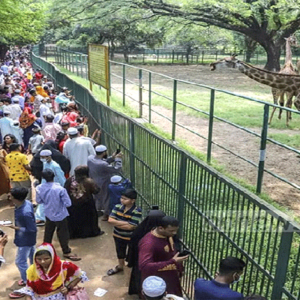 আলিপুর চিড়িয়াখানায় অরাজকতা! নিয়ম ভাঙার মহোৎসব, কোথায় নিরাপত্তারক্ষীরা?