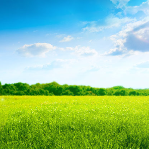 স্বপ্ন হবে সত্যি! কারখানা খুলতে মাত্র ১ টাকার টোকেন মূল্যে জমি দিচ্ছে বিহার সরকার, কারা পাবে এই বিশেষ সুবিধা?