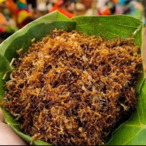 ৭০০ টাকা কেজি দরে বিক্রি হচ্ছে ‘কুরকূট’! কী এই বুনো পিঁপড়ে? যার ঝোল-চাটনি খাচ্ছে জঙ্গলমহল