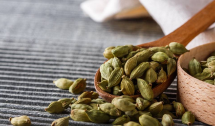 সকালে খালি পেটে একটি এলাচ খাওয়ার উপকার জানেন? তাহলে পড়ুন