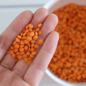 তাড়াহুড়ো নয়, মসুর ডাল রান্নার আগে ভিজিয়ে রাখবেন যেকারণে?