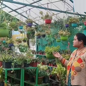 গ্রামের নামই বদলে দিল হাজারো ফুলের সুগন্ধ! আলিপুরদুয়ারের ‘নার্সারি পাড়া’র সাফল্যের নেপথ্যে কোন রহস্য?