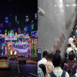 কলকাতায় উপচে পড়া ভিড়! চিড়িয়াখানা থেকে ইকো পার্ক, বড়দিনে জনজোয়ারে রেকর্ড ভাঙল তিলোত্তমা