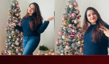 লুকিয়ে বিয়ে সেরে বিদেশে তনুশ্রী! বড়দিনের রাতে বরের জন্য কী স্পেশাল রান্না করলেন নায়িকা?