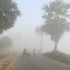 বাঁকুড়ায় রাজ্য সড়কে ধোঁয়ার তাণ্ডব! ১০০ মিটার রাস্তা কার্যত ‘অদৃশ্য’, বড় দুর্ঘটনার আশঙ্কা