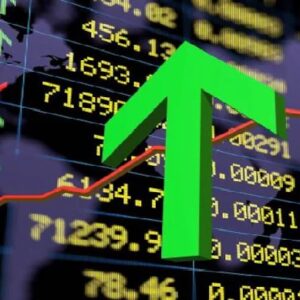 জোম্যাটো, বিইএল-এর শেয়ারে বিশাল লাফ! রেপো রেট ঘোষণার দিনে বাজারের রথ টানল কোন কোন স্টক?