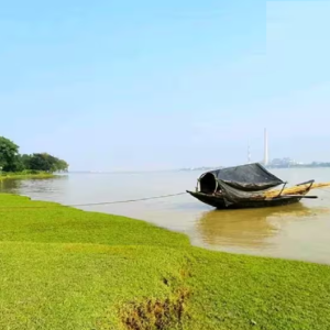 বিশ্ব বন্যপ্রাণী দিবসে বিশেষ প্রতিবেদন  ভরতপুরের অভয়ারণ্যে কৃত্রিম বাঁধেই তৈরি হয়েছিল UNESCO ওয়ার্ল্ড হেরিটেজ!