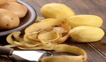 আলুর খোসার কী কী গুণ রয়েছে জানেন কি? জানলে আপনিও আর ফেলবেন না
