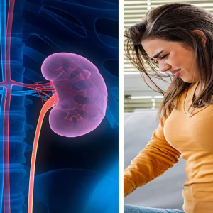 কিডনি রোগের লক্ষণ: প্রস্রাবে কী কী পরিবর্তন দেখলে সতর্ক হওয়া উচিত? বিস্তারিত জানতে পড়ুন