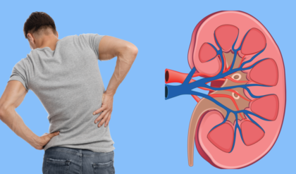 কিডনির যত্ন নিন এই ঘরোয়া পদ্ধতিতে, শিখেনিন খুব সহজে