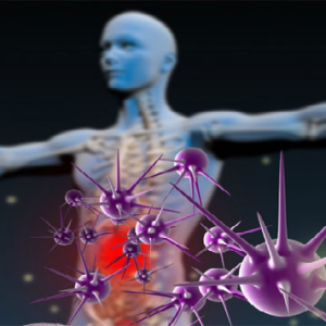 রোগ প্রতিরোধ ক্ষমতা বাড়াতে ছয়টি সুপারফুড সম্পর্কে জেনেনিন এক্ষুনি